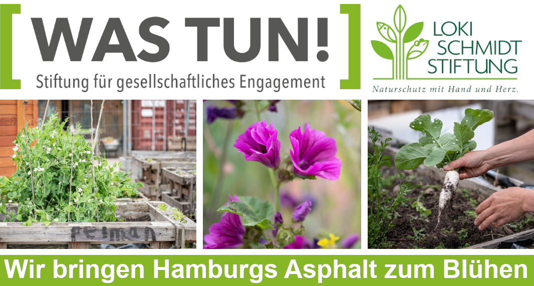 Was tun! und Loki Schmidt Stiftung für ein blühendes Hamburg